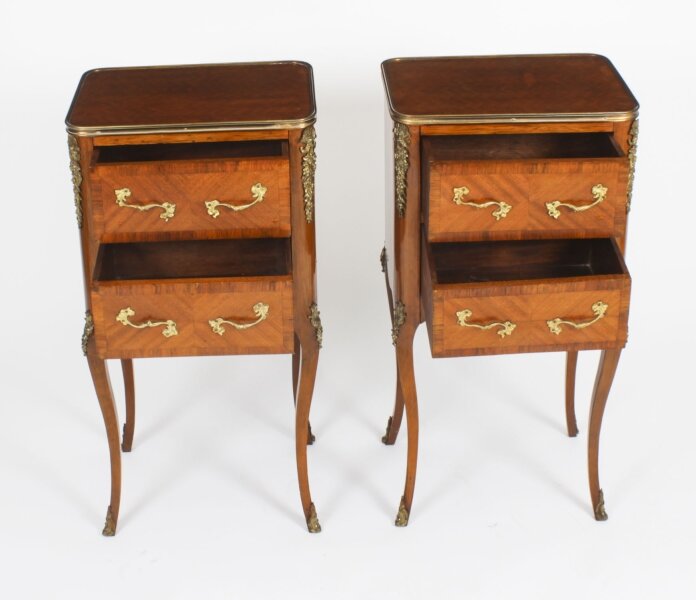Antique Pair of French Bois de Violette Parquetry Bedside Tables - Image 2